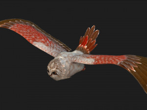 OwlBirdA2 Modello 3D
