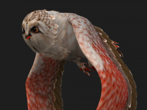 OwlBirdA2 Modello 3D