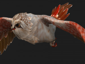 OwlBirdA2 Modello 3D