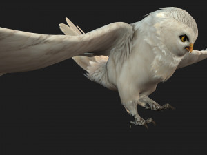 OwlBirdA3 3D Модель
