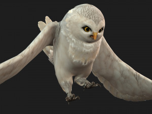 OwlBirdA3 3D Модель