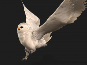 OwlBirdA3 3D Модель