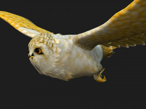 OwlBirdA4 3Dモデル