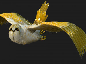 OwlBirdA4 3Dモデル