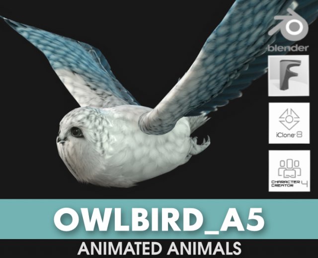 OwlBirdA5 3D Model .c4d .max .obj .3ds .fbx .stl .blend 