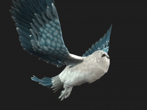 OwlBirdA5 3D Model