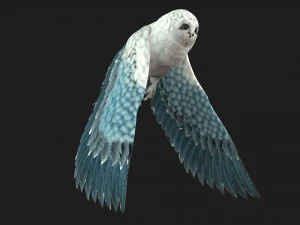 GufoUccelloA5 Modello 3D