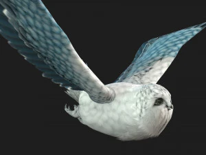 GufoUccelloA5 Modello 3D