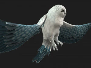 GufoUccelloA5 Modello 3D