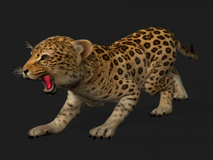 LeopardBabyA1 3D Model