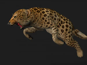 LeopardBabyA1 3D Model