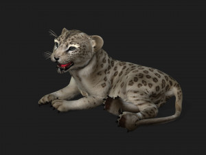 LeopardBabyA2 Modelo 3D