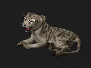 LeopardBabyA2 3D Model