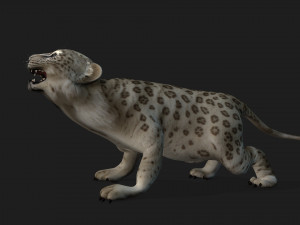 LeopardBabyA2 Modelo 3D