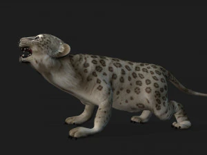 LeopardBabyA2 3D Model