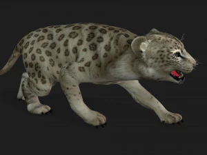 LeopardBabyA2 3D Model