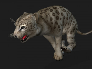 LeopardBabyA2 Modelo 3D