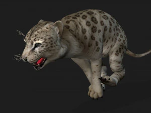 LeopardBabyA2 3D Model