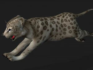 LeopardBabyA2 3D Model