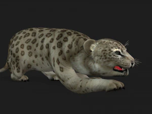 LeopardBabyA2 3D Model