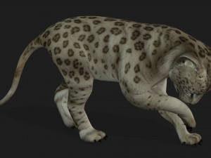 LeopardBabyA2 Modelo 3D