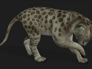 LeopardBabyA2 3D Model