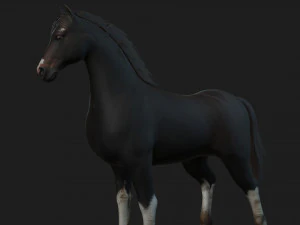 ChevalA1 Modèle 3D