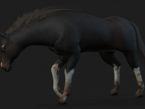 HorseA1 Modelo 3D