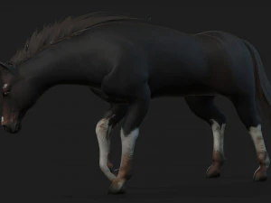 ChevalA1 Modèle 3D