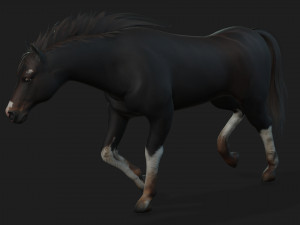 HorseA1 Modelo 3D
