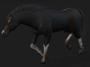 ChevalA1 Modèle 3D