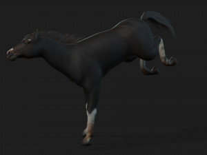 HorseA1 Modelo 3D