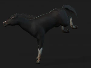 ChevalA1 Modèle 3D