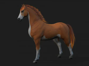 CavalloA2 Modello 3D