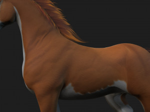 HorseA2 Modèle 3D
