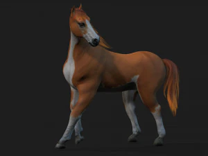 CavalloA2 Modello 3D