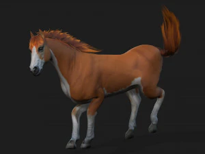 CavalloA2 Modello 3D