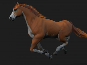 HorseA2 Modèle 3D