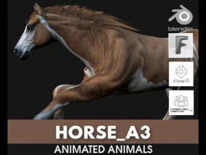 CavalloA3 Modello 3D