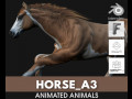 HorseA3 3D 模型