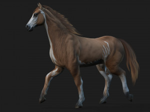 HorseA3 Modelo 3D
