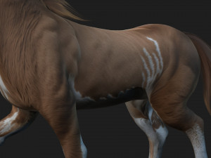 HorseA3 Modelo 3D
