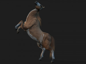 HorseA3 Modelo 3D