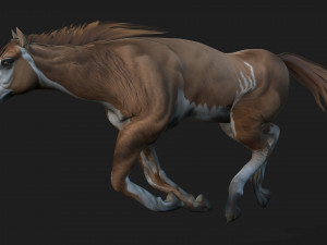 HorseA3 Modelo 3D