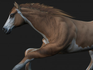 HorseA3 Modelo 3D