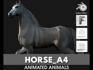 CavalloA4 Modello 3D