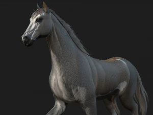 HorseA4 3D Model