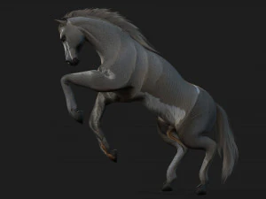 HorseA4 3D Model