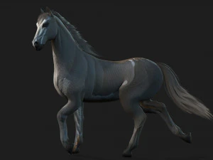 HorseA4 3D Model