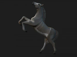 HorseA4 3D Model